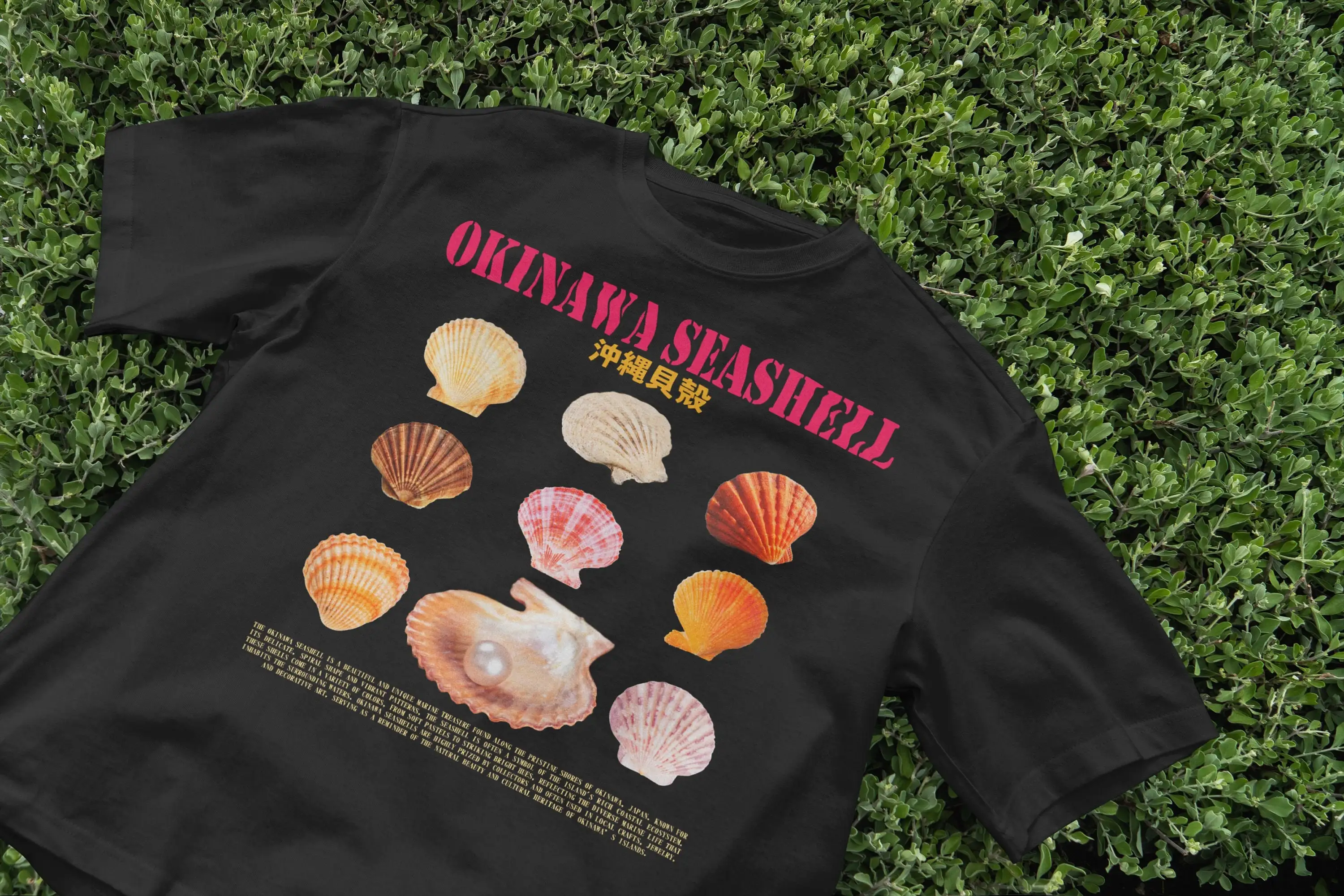 Okinawa Seashell T-Shirt, Ozea – Japanese Man Lifestyle Bewertung und Preis